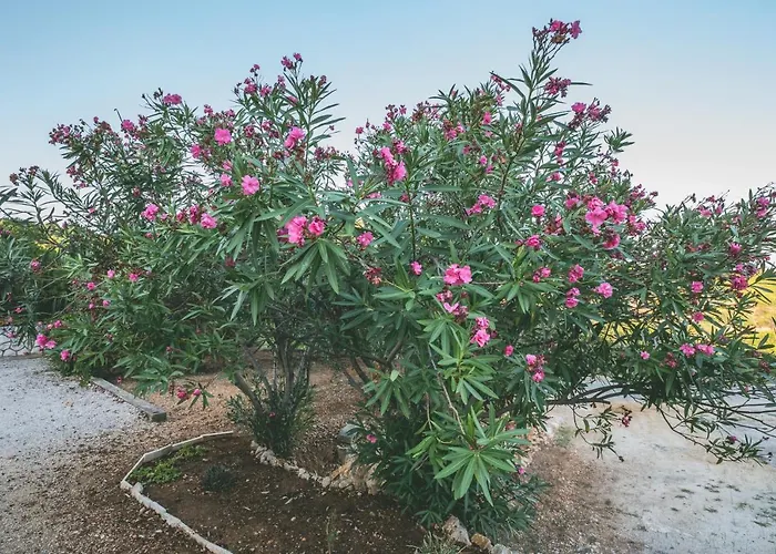 Appartement With A Parking Space Rukavac, - 8898 *